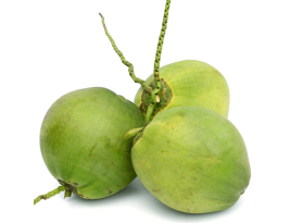 FRESH COCONUT