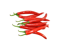 FRESH CHILI