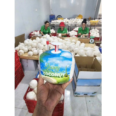 FRESH COCONUT