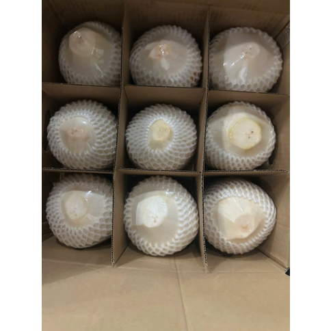 FRESH COCONUT