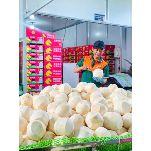 FRESH COCONUT