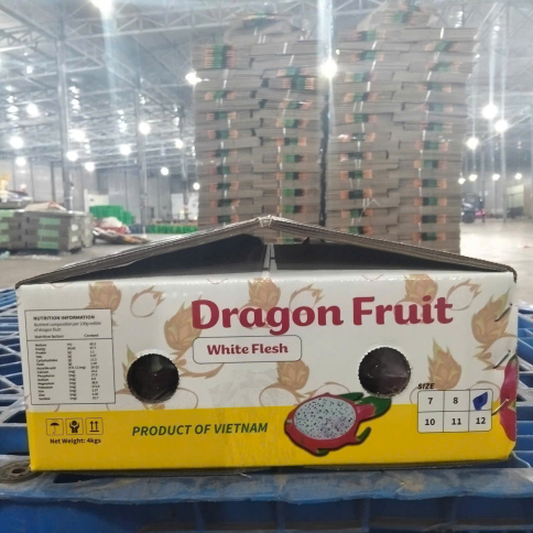 DRAGON FRUIT (Red / White flesh)