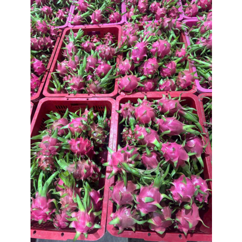 DRAGON FRUIT (Red / White flesh)